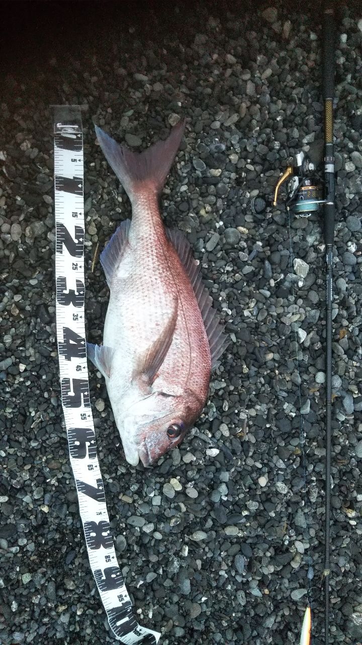 DAIWA 17モアザン 3012Hの最安値・インプレ・釣果 | 本音の口コミが