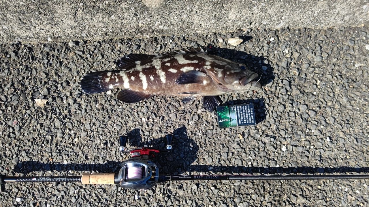 AbuGarcia エラディケーター ベイトフィネス EBTC-710MLT+PFの最安値