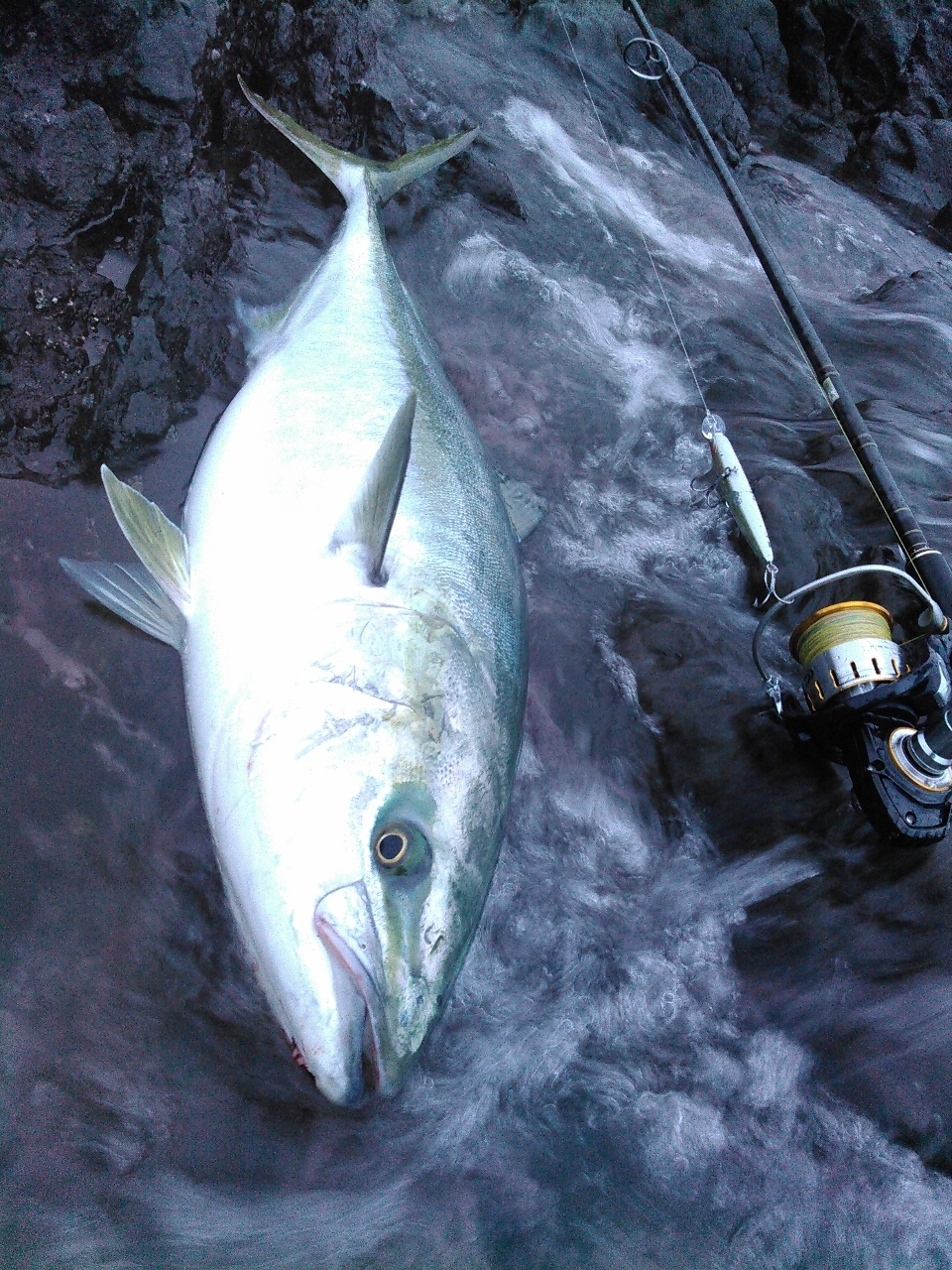 AbuGarcia クロスフィールド XRFS-1062Hの最安値・インプレ