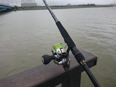 DAIWA 18ブラスト LT LT4000-CXHのインプレ一覧 | 本音の口コミ DAIWA 18ブラスト LT LT4000-CXHのインプレ一覧 | 本音の口コミ