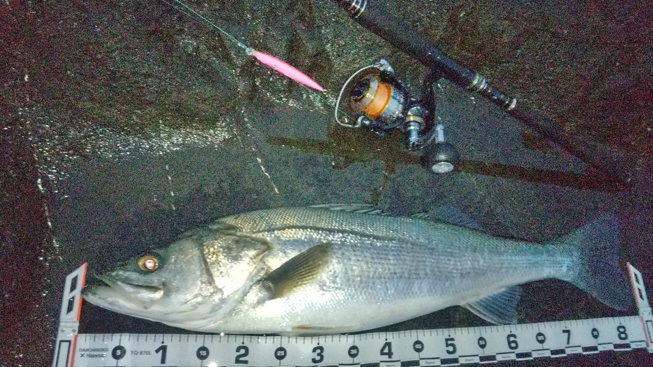 AbuGarcia クロスフィールド XRFS-1062Hの最安値・インプレ