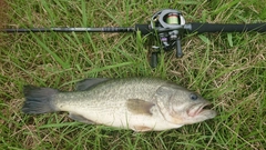 DAIWA 18ハートランド 722MRB-20の最安値・インプレ・釣果 DAIWA 18ハートランド 722MRB-20の最安値・インプレ・釣果