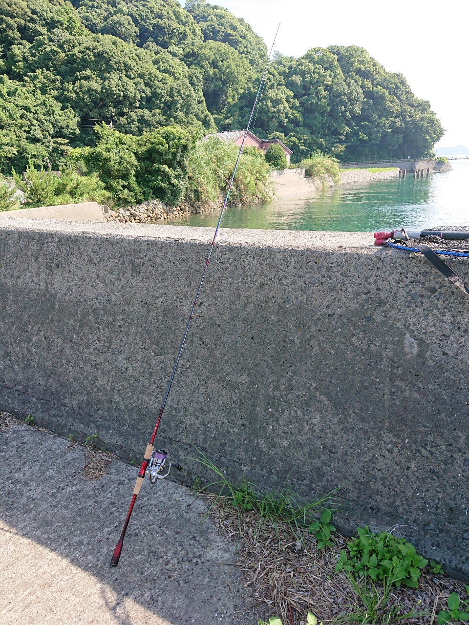 本音の口コミが集まる釣具通販「TACKLE BOX」