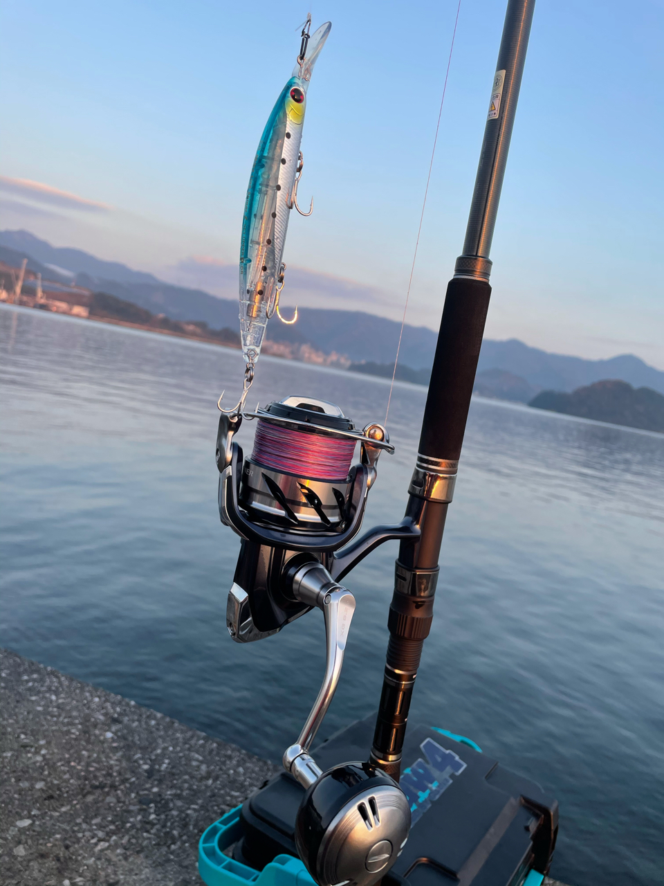 SHIMANO 21ツインパワー SW 6000XGのインプレ一覧 | 本音の口コミが集まる釣具通販「TACKLE BOX」