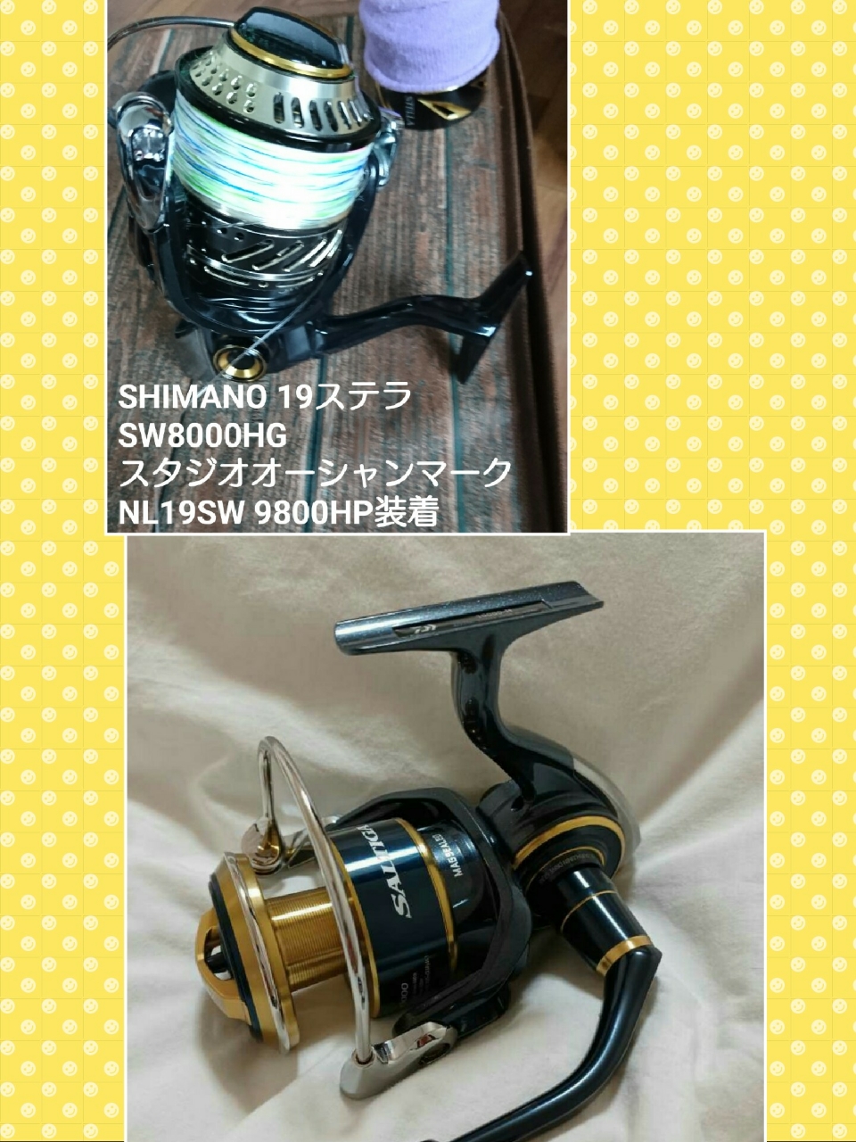 SHIMANO 19ステラ SW 8000HGの最安値・インプレ・釣果 | 本音の口コミが集まる釣具通販「TACKLE BOX」