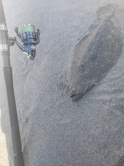 シマノ ツインパワー XD 4000XG