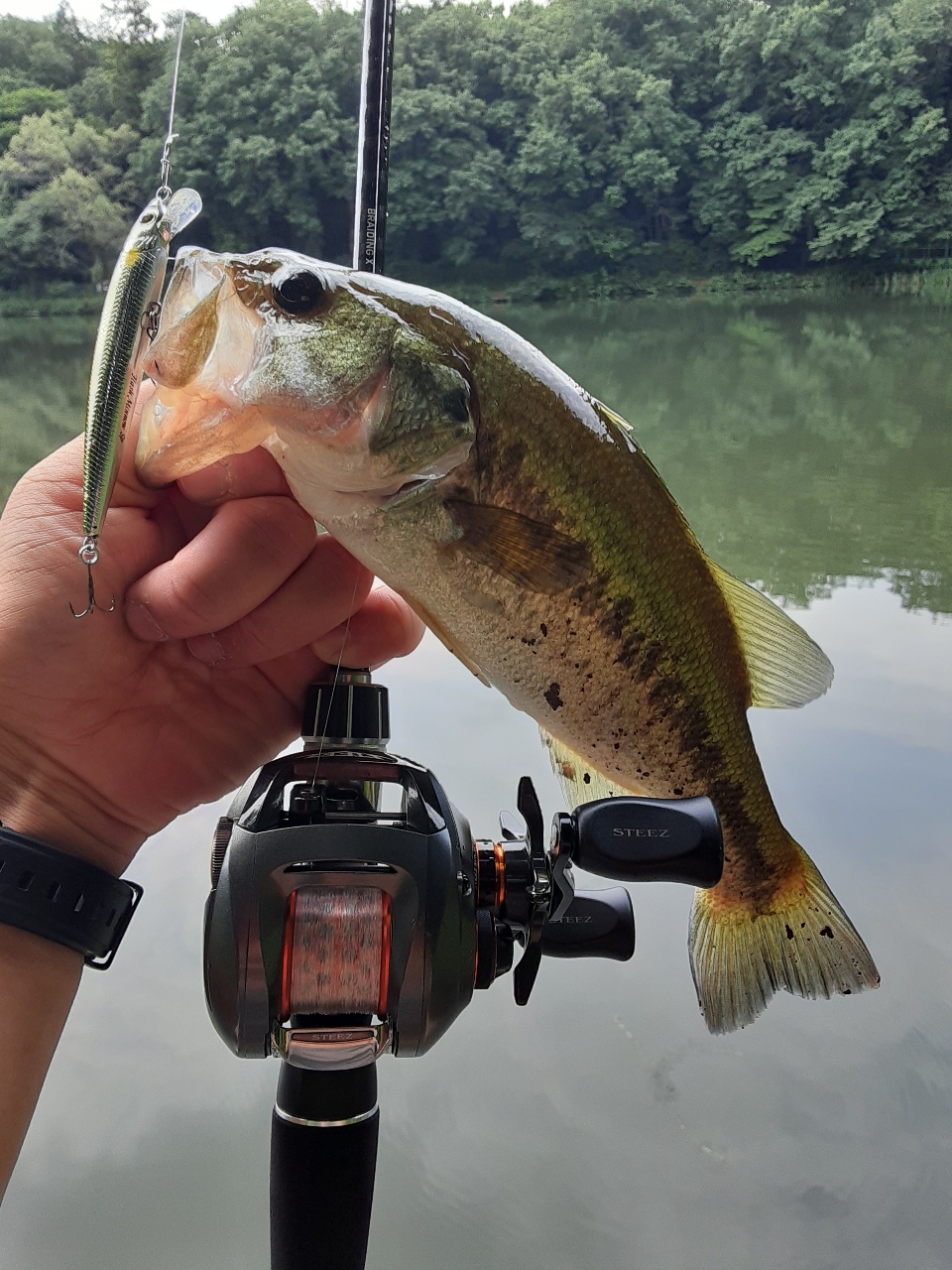 セコ釣り氏２回目❗さんのダイワ クロノス 672LBのレビュー by セコ