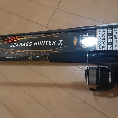 DAIWA SEABASS HUNTER X 86ML・R