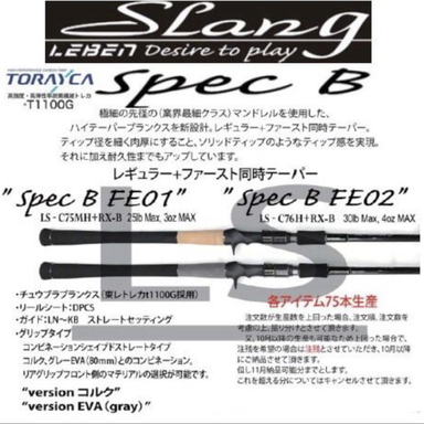 DESIGNO SLANG spec B fe02 c76h+