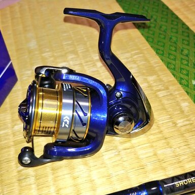 DAIWA CREST LT3000-CXH