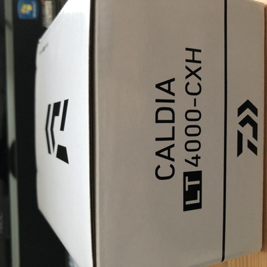 DAIWA CALDIA LT4000-CXH