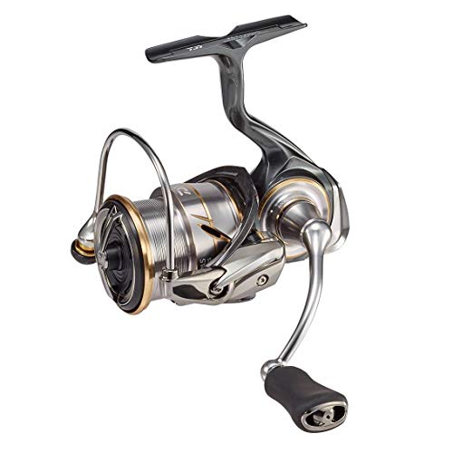 DAIWA 20ルビアス LT2500S-DHのインプレ一覧 | 本音の口コミが