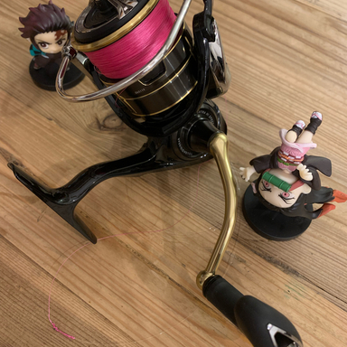 DAIWA BALLISTIC LT3000-XH