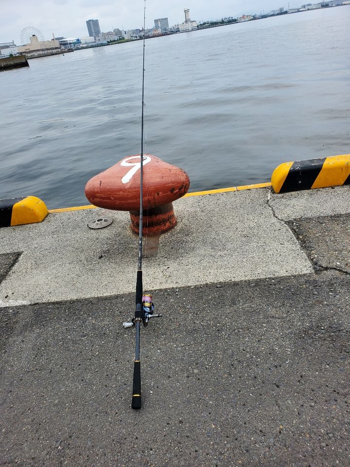 DAIWA 20ラテオ モバイル 86ML-4の最安値・インプレ・釣果 | 本音の