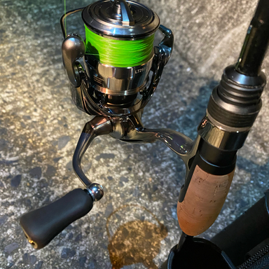 DAIWA EXIST LT2500S