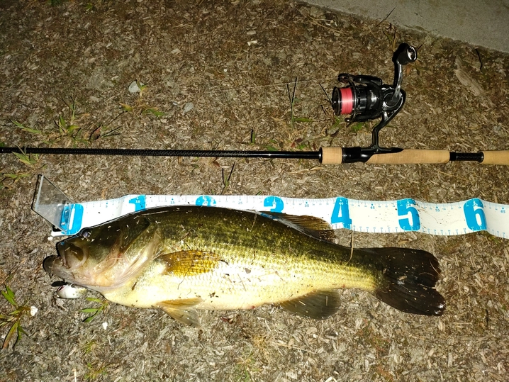 ダイワ ブラックレーベル SG 682L/MLXS-ST