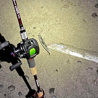 DAIWA TATULA SV TW 103XHL