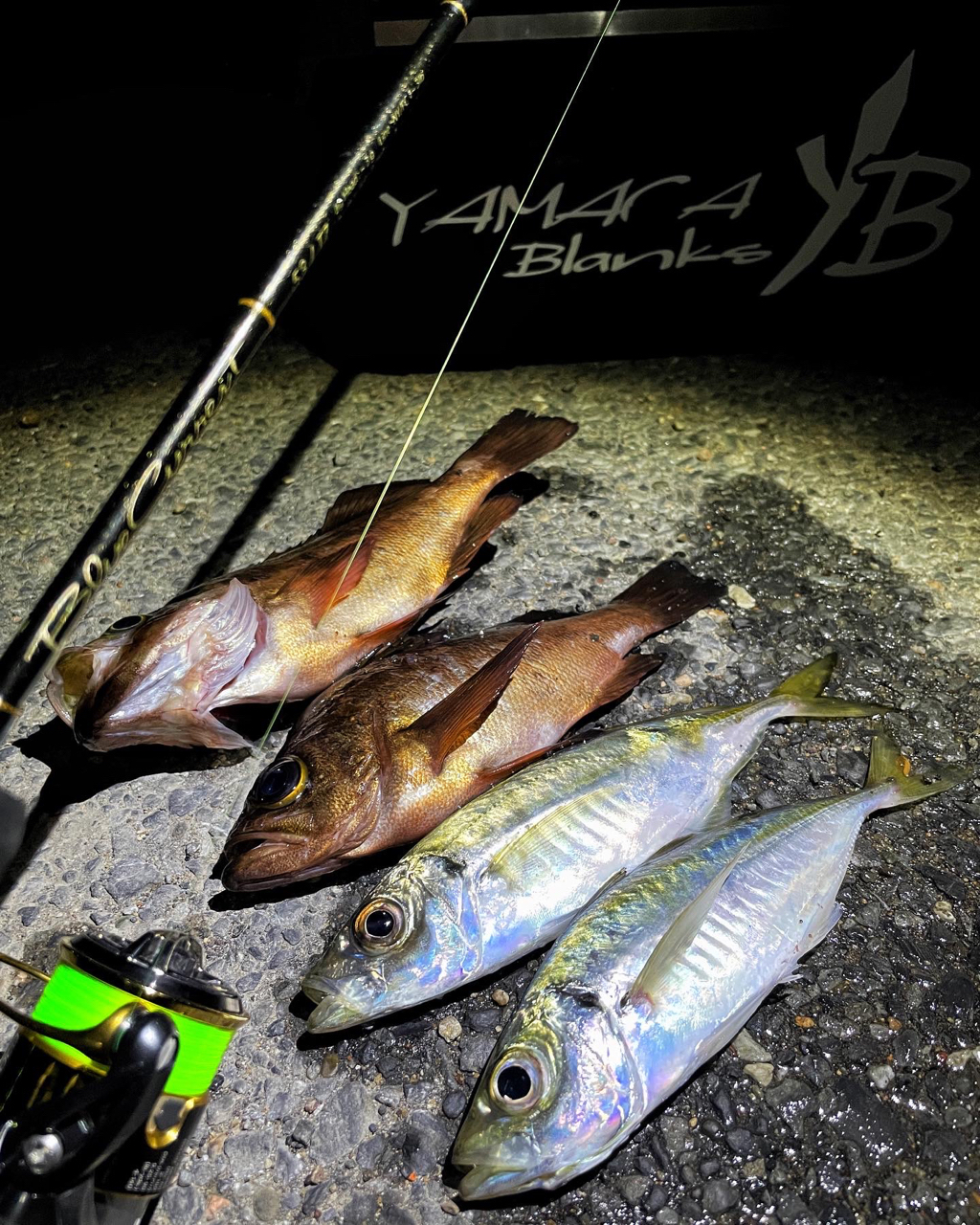 YAMAGA Blanks ブルーカレント TZ 53/TZの最安値・インプレ