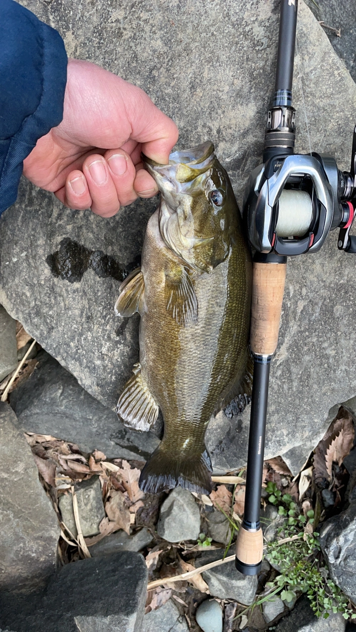 シマノ スコーピオン DC 150HG RIGHT