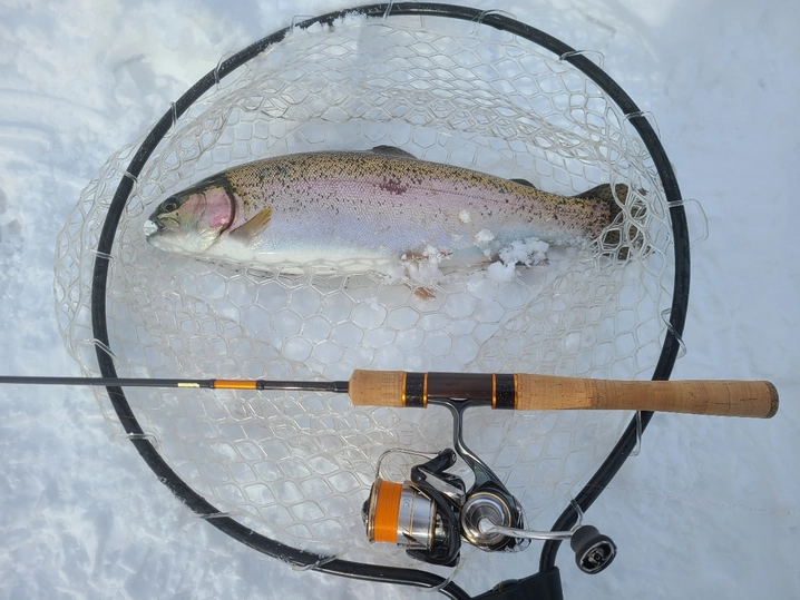 ダイワ プレッソ AGS 59ML-S･V