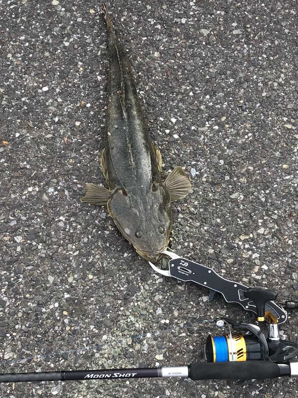 SHIMANO 21ムーンショット S100Mの最安値・インプレ・釣果