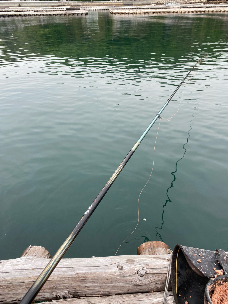 DAIWA 20銀狼王牙 AGS 1号-53・Rの最安値・インプレ・釣果 DAIWA 20銀狼王牙 AGS 1号-53・Rの最安値・インプレ・釣果