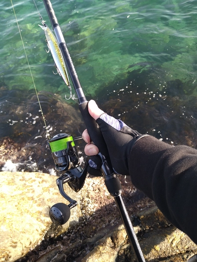 シマノ ルナミス S110M