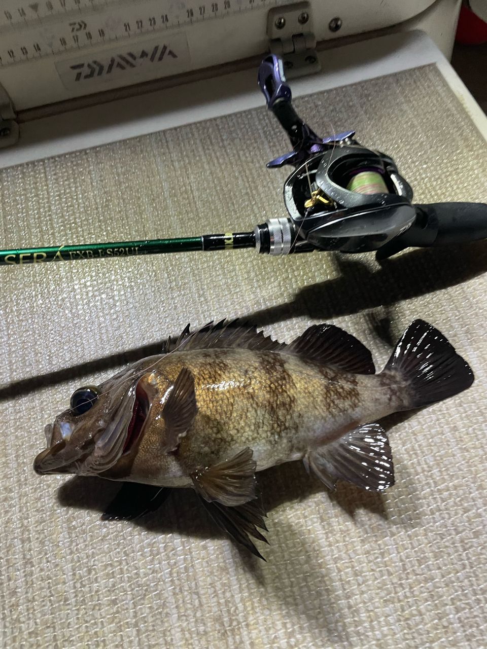 DAIWA 19スティーズ CT SV TW 700Hの最安値・インプレ・釣果 | 本音の