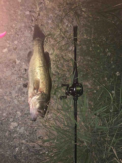DAIWA 14ハートランド AGSのインプレ一覧 | 本音の口コミが DAIWA 14ハートランド AGSのインプレ一覧 | 本音の口コミが