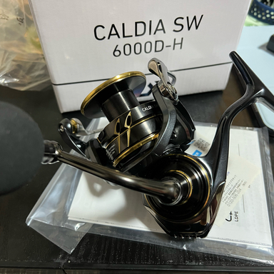 DAIWA CALDIA SW 6000D-H