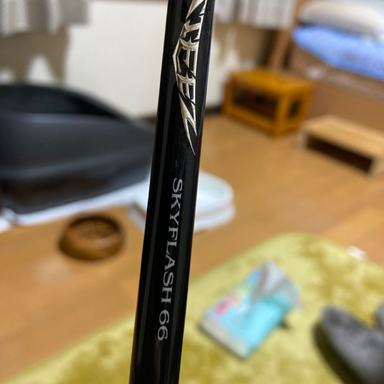 DAIWA STEEZ 66L スカイフラッシュ