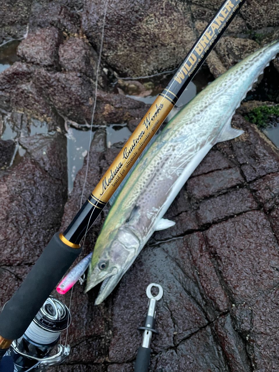 SHIMANO 21ツインパワー SW 6000HGのインプレ一覧 | 本音の口コミが