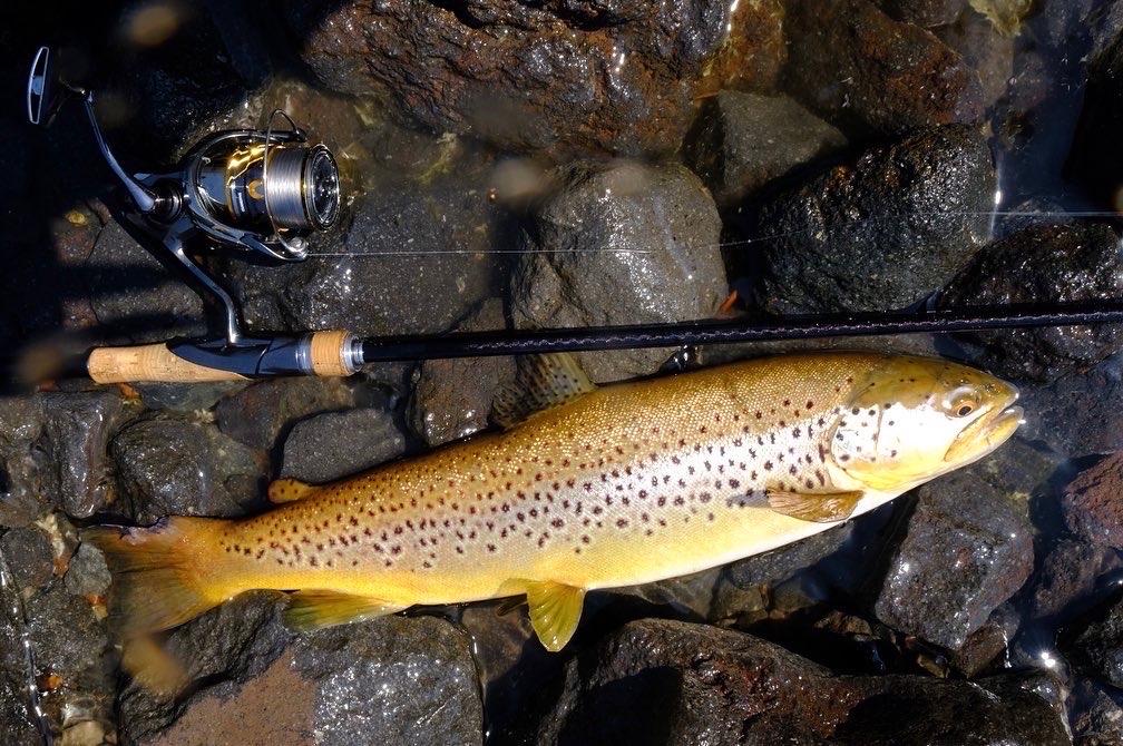 SHIMANO 18バンタム 274MHの最安値・インプレ・釣果 | 本音の SHIMANO 18バンタム 274MHの最安値・インプレ・釣果 | 本音の