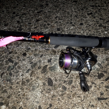 DAIWA LUVIAS LT3000