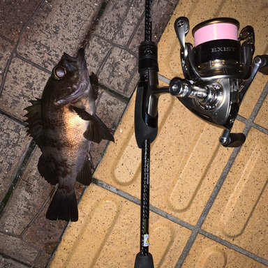 DAIWA EXIST 2004