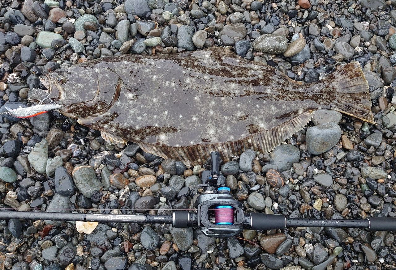SHIMANO 18ディアルーナ B106Mの最安値・インプレ・釣果 | 本音の