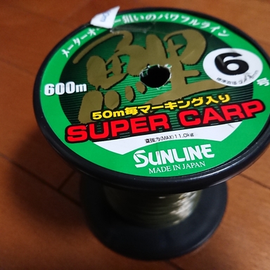 SUNLINE SUPER CARP 6号/600m/グリーン