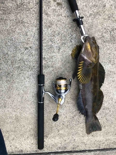 SHIMANO 17セドナ 2500の最安値・インプレ・釣果 | 本音の口コミ SHIMANO 17セドナ 2500の最安値・インプレ・釣果 | 本音の口コミ