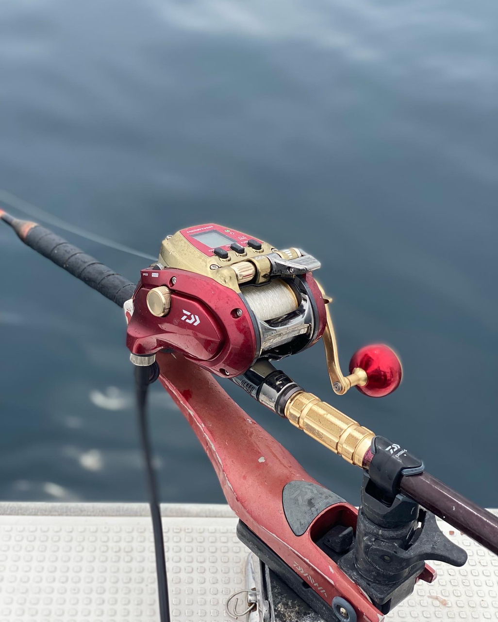 DAIWA Electric Reel 22 Seaborg 500MJ-AT (2022 Model) - Discovery Japan Mall