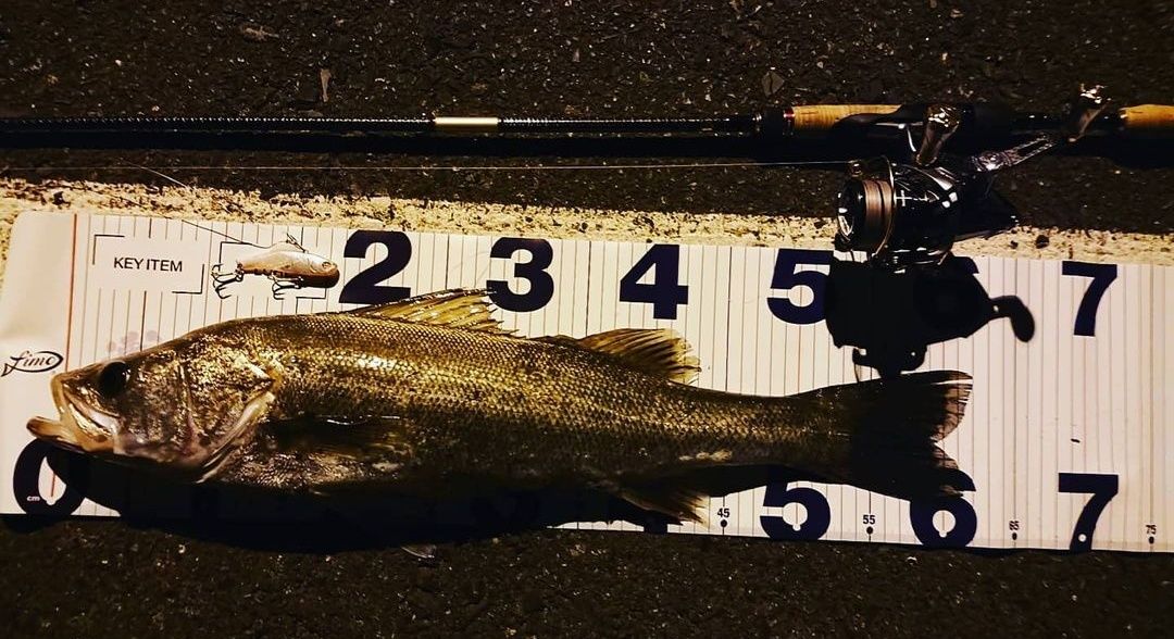 APIA フージン' AD METRO KNIGHT 86LXの最安値・インプレ・釣果