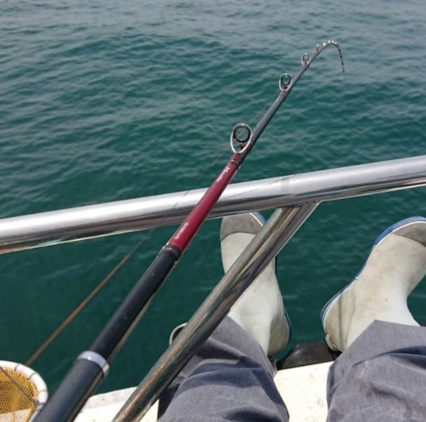 DAIWA 17メタリア エギタコ S-178の最安値・インプレ・釣果 | 本音の