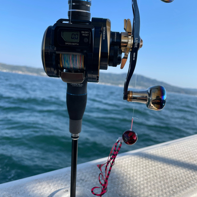 DAIWA SALTIGA IC 100