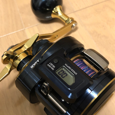 DAIWA SALTIGA IC 300