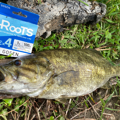 GOSEN Roots PE×4 1号/17lb MULTI/1号/17lb(7.9kg)