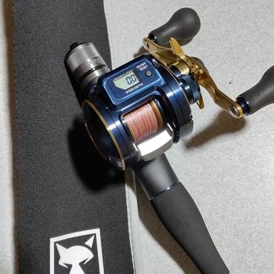 DAIWA SALTIGA IC 100