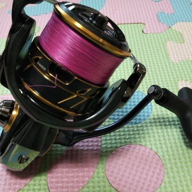 DAIWA CALDIA LT4000-CXH