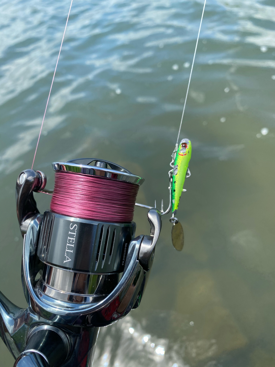 SHIMANO 22ステラ C3000XGのインプレ一覧 | 本音の口コミが