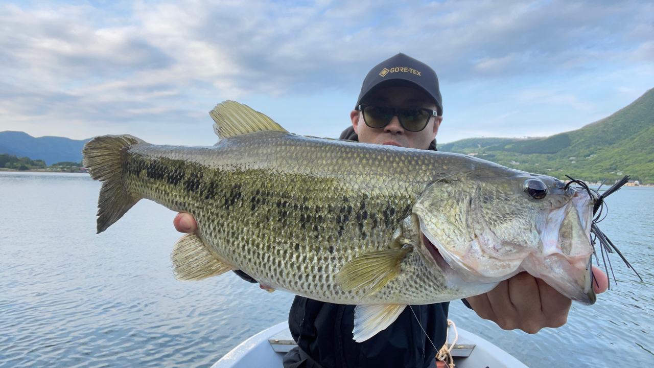 SHIMANO 22バンタム 170MHの最安値・インプレ・釣果 | 本音の