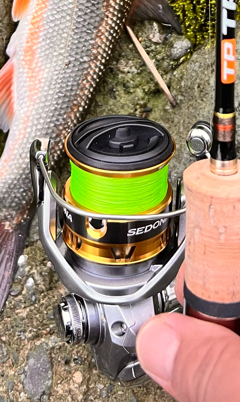 SHIMANO 17セドナ 2500の最安値・インプレ・釣果 | 本音の口コミ
