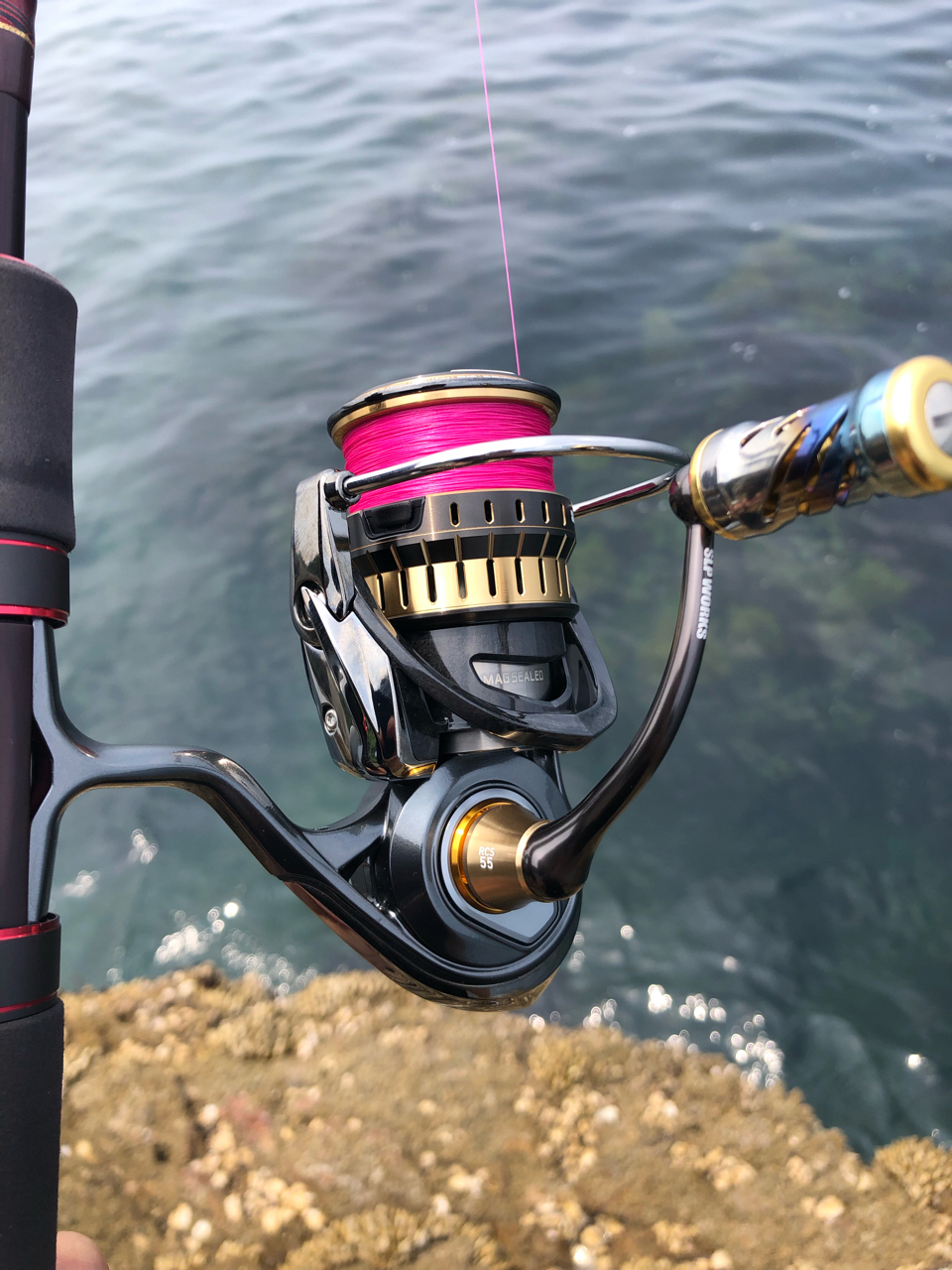DAIWA 21ルビアス エアリティ FC LT2500S-XHの最安値・インプレ DAIWA 21ルビアス エアリティ FC LT2500S-XHの最安値・インプレ